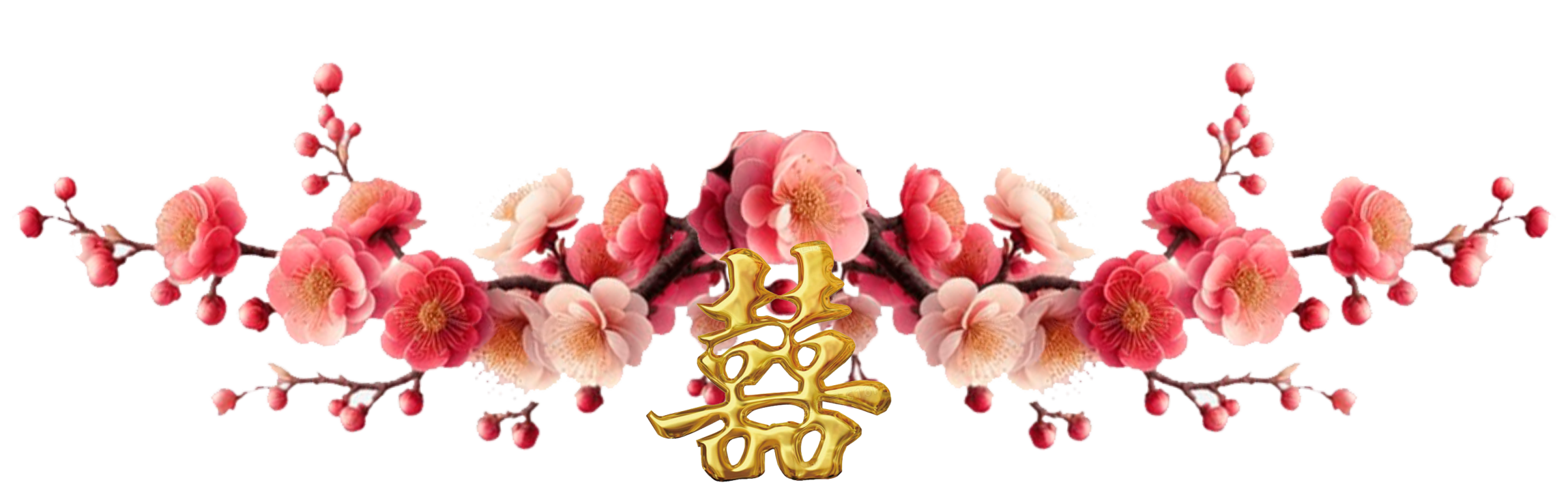 pion